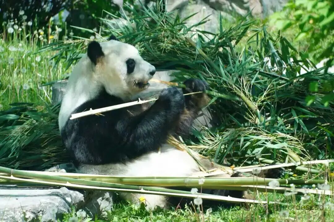 微信图片_20260713144204_298_153.jpg
